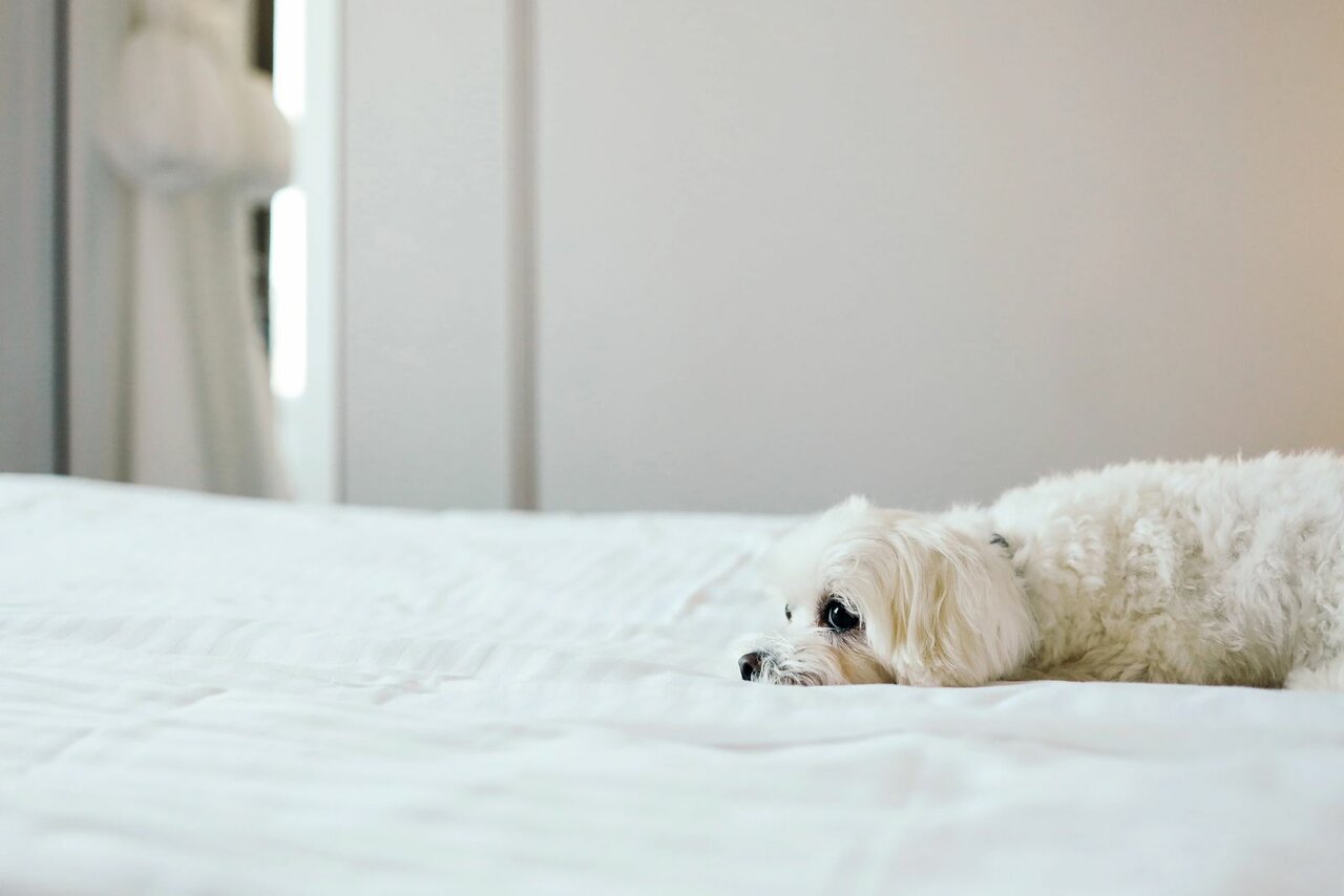 Гостиница Соло на Невском Проспекте Санкт-Петербург-40