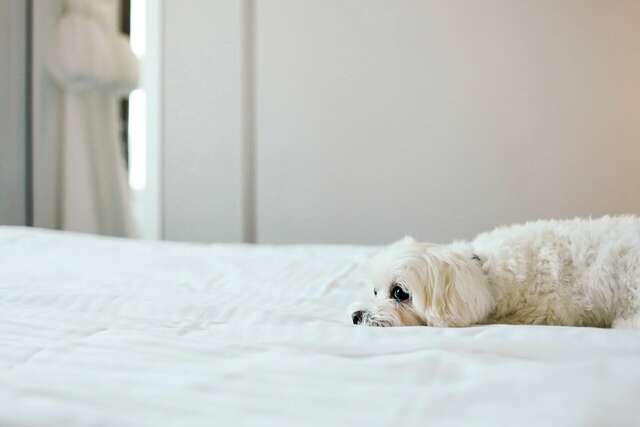 Гостиница Соло на Невском Проспекте Санкт-Петербург-39